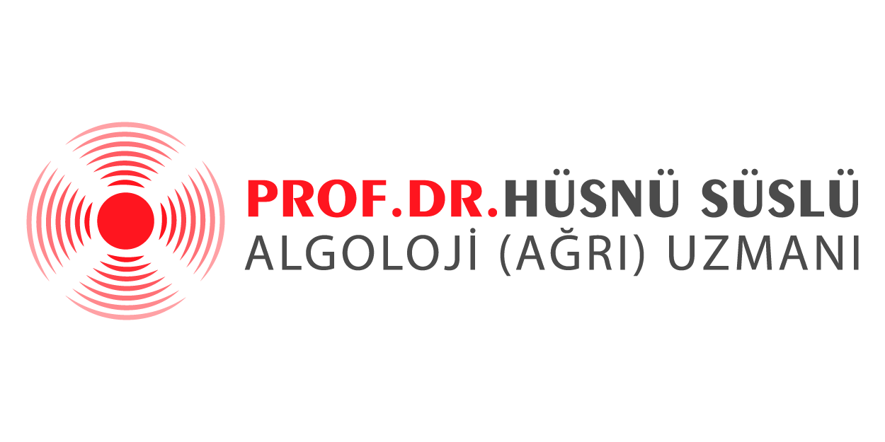 Profesör Doktor Hüsnü Süslü